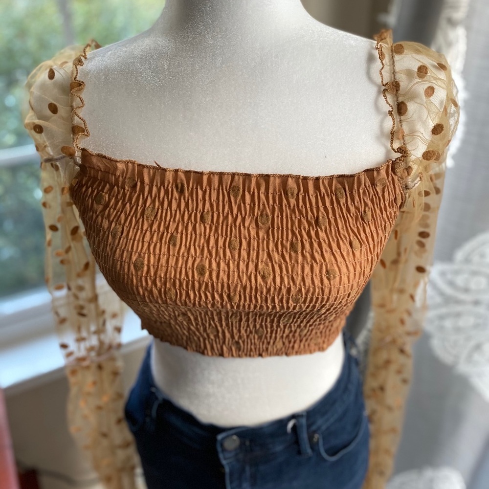 Sheer puffy long slve nude blouse - L